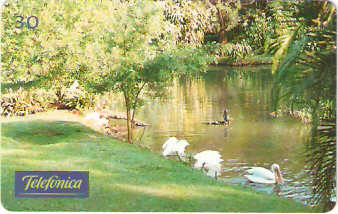 SP-0312M - Americana